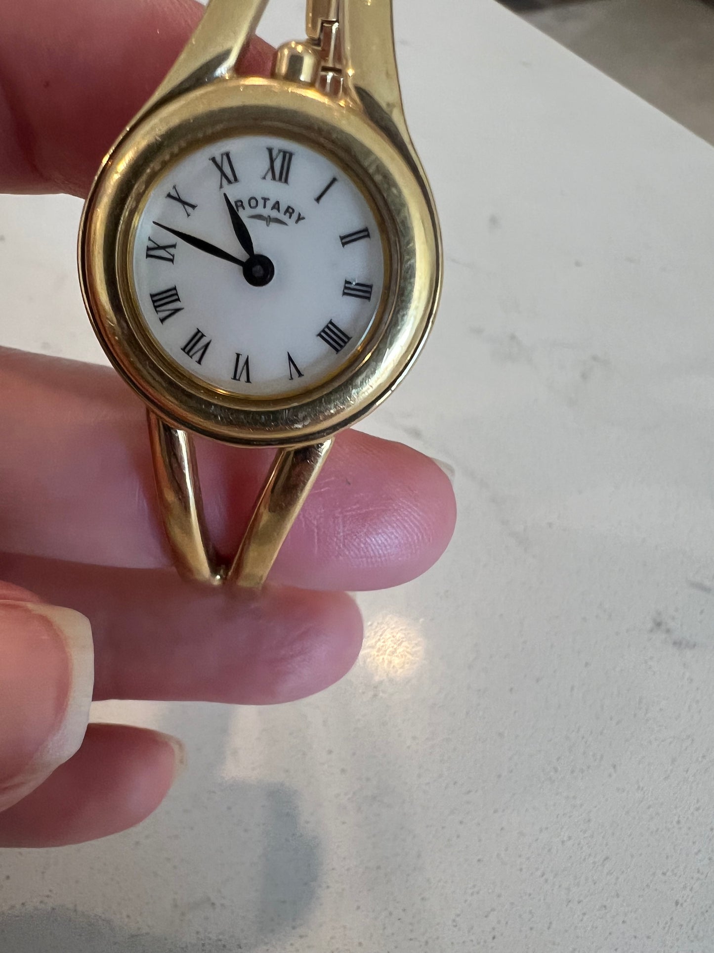 Rotary watch