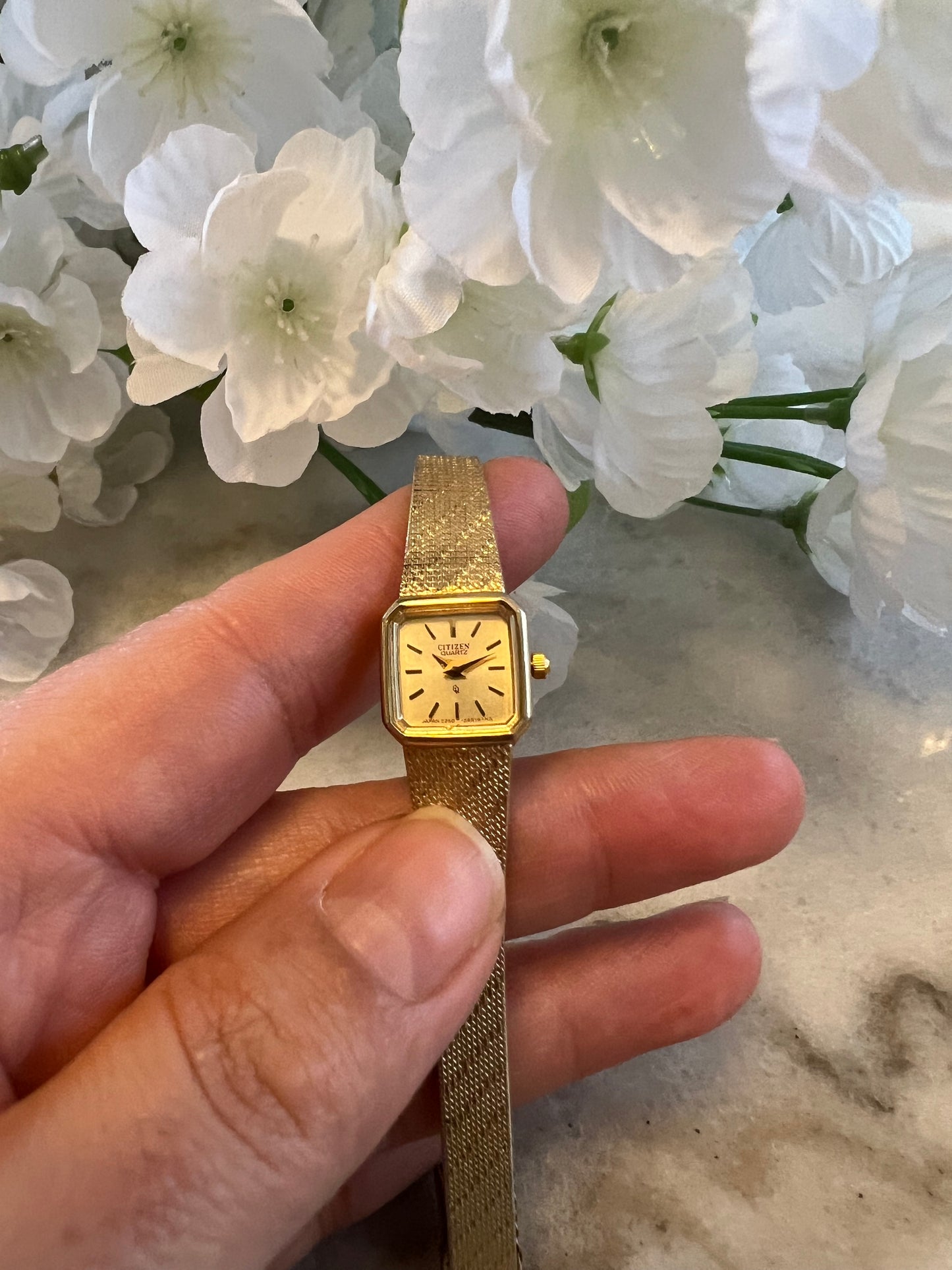 Citizen watch