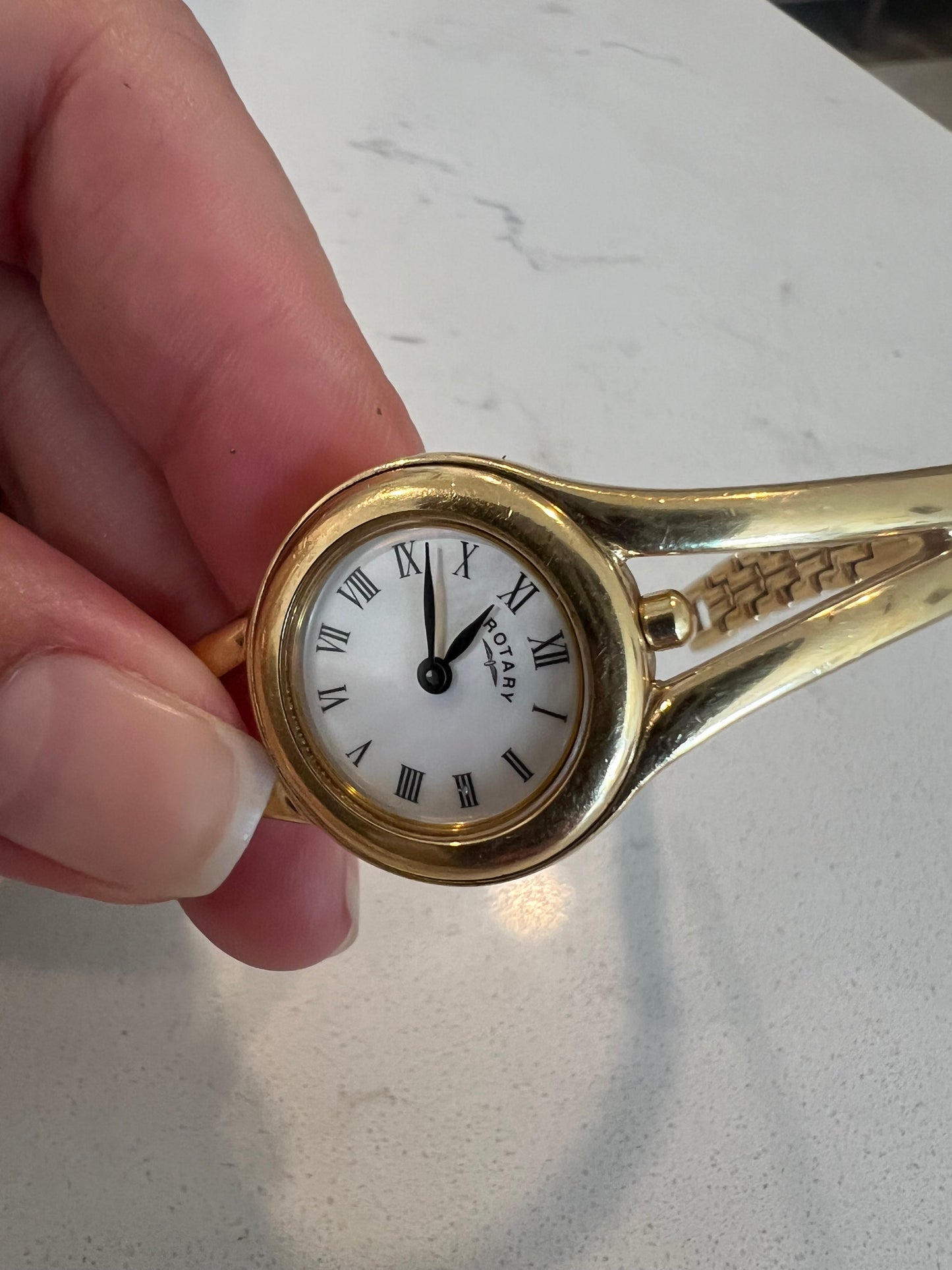 Rotary watch