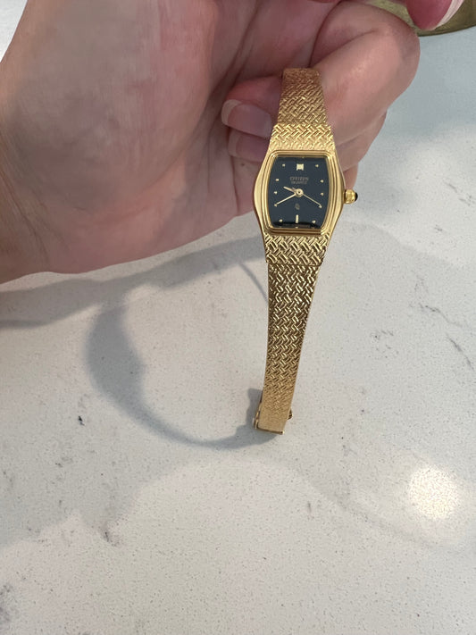 Citizen watch