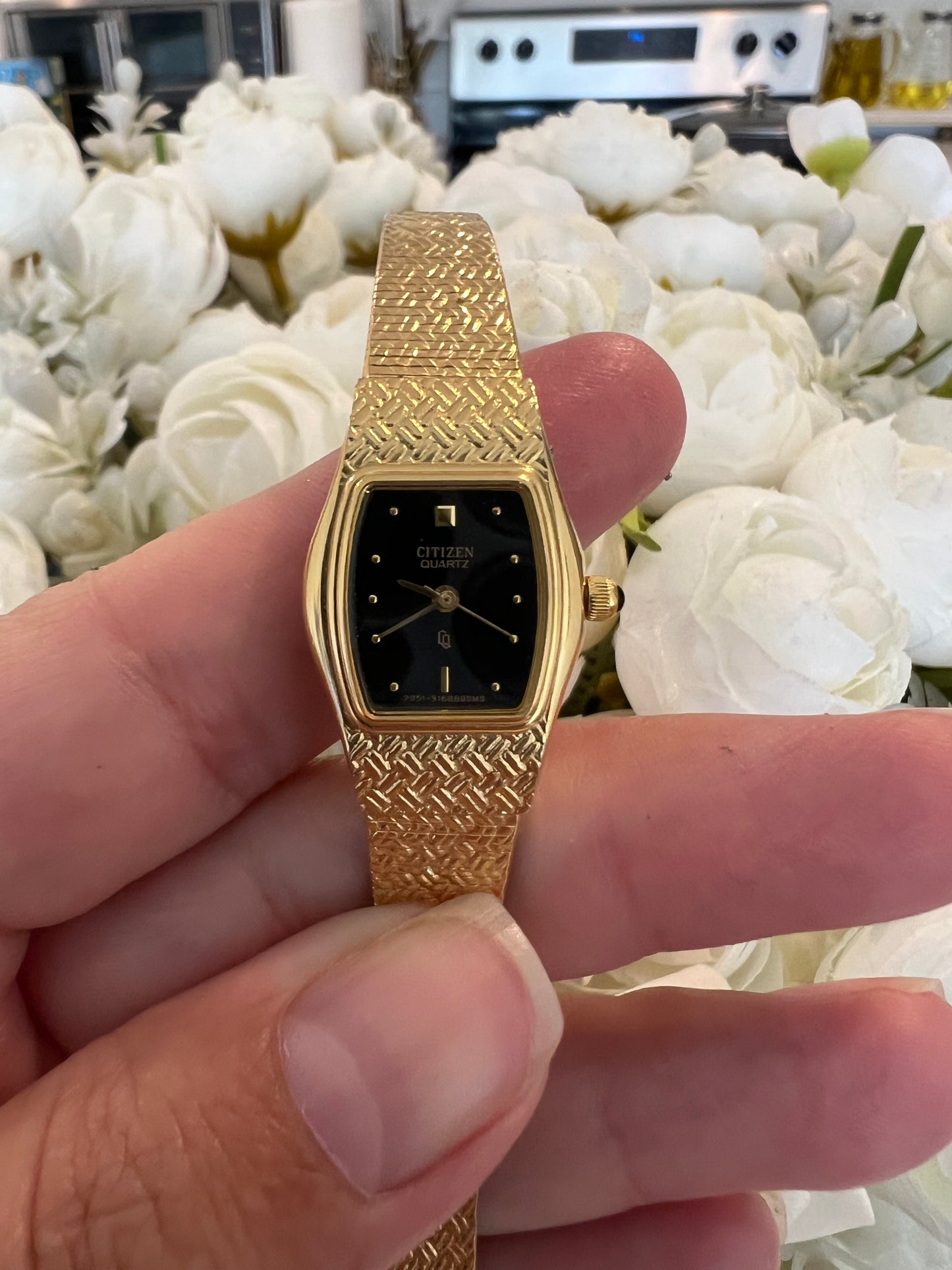 Citizen watch