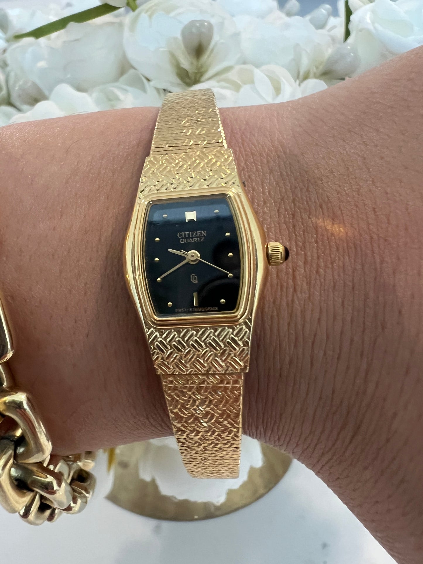 Citizen watch